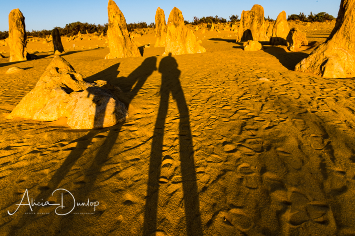 Long Shadows - as the sun dips lower in the sky. In the Pinnacles Desert, Nambung National Park